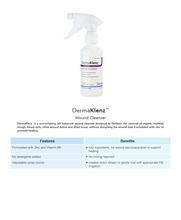 Load image into Gallery viewer, DermaKlenz Wound cleanser 8 oz with zinc. Contains no detergents. No rinsing required. Adjustable spray nozzle creates direct stream or gentle mist with appropriate psi which facilitates the removal of organic material, slough, blood clots, and other wound debris.
